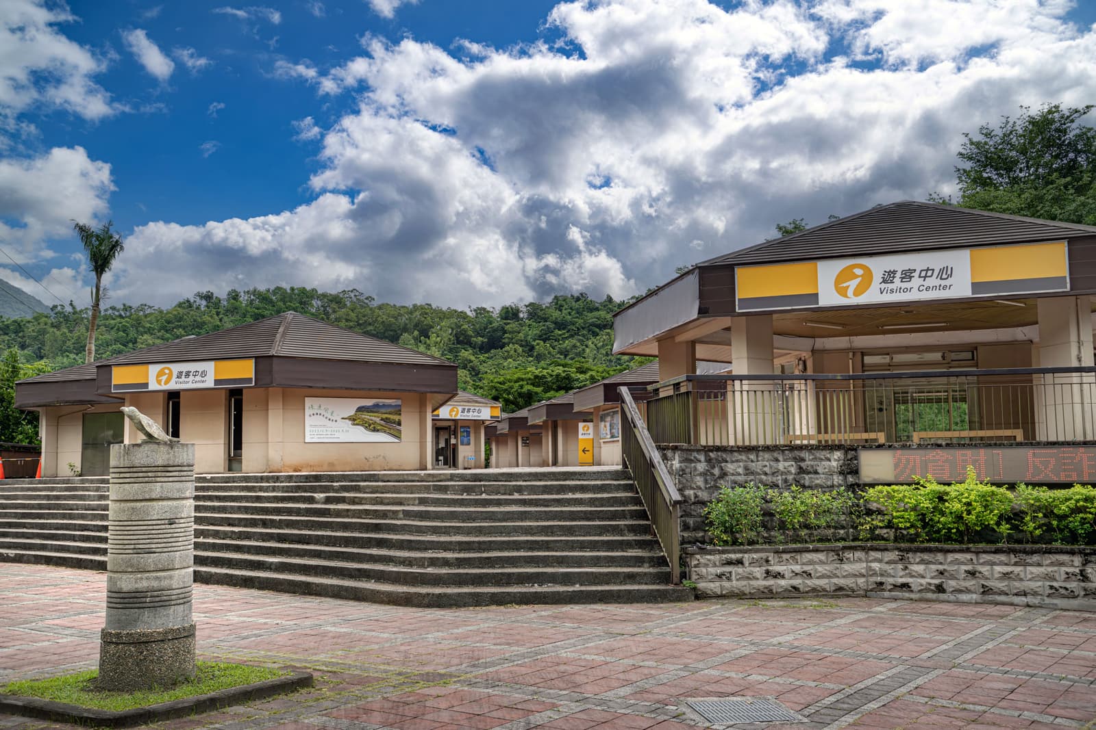 池上的稻田，风吹过时整片稻浪翻动