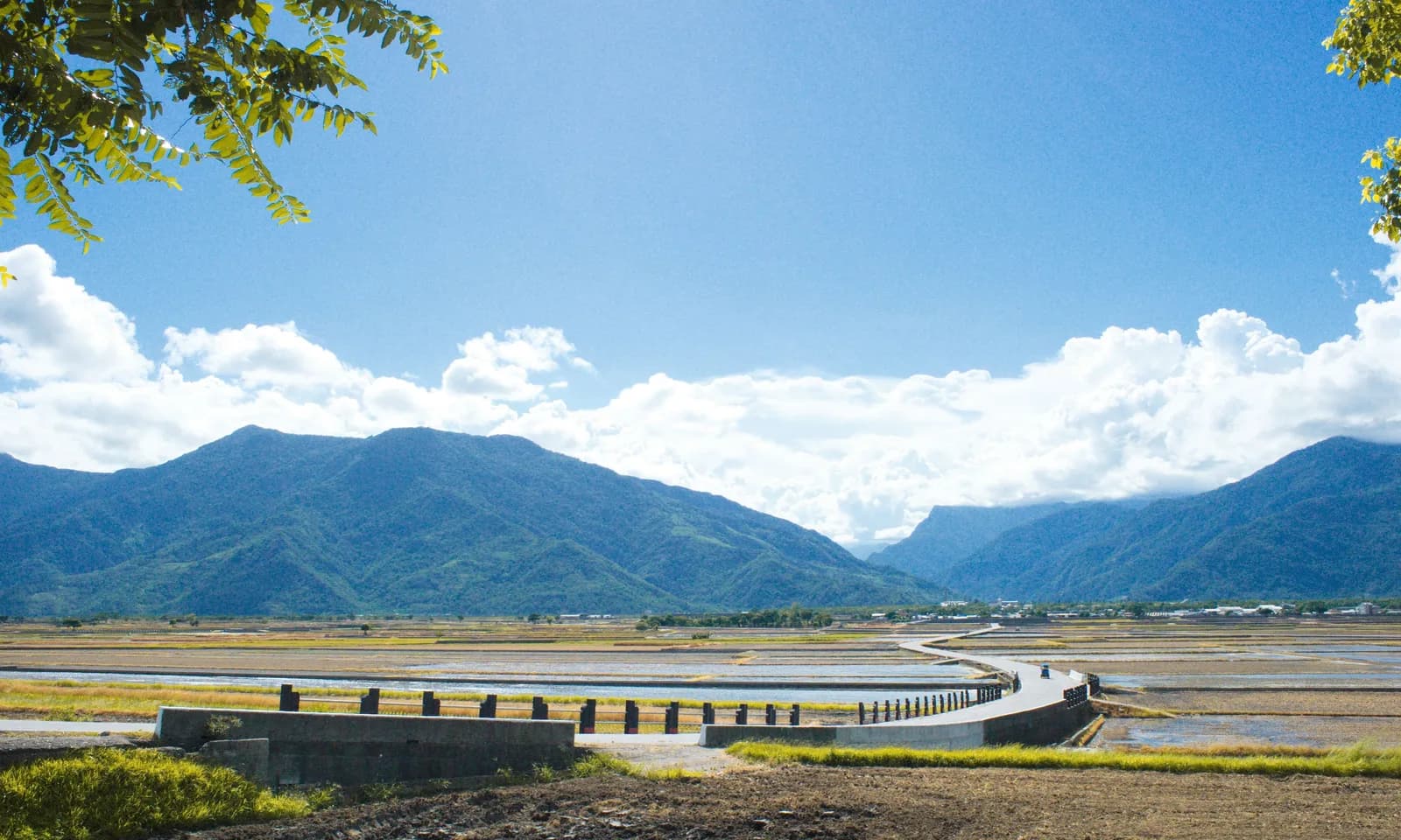 縱谷裡的橋、稻田與遠山（實景・Pexels 授權）